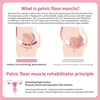 Pelvic floor muscle rehabilitation device