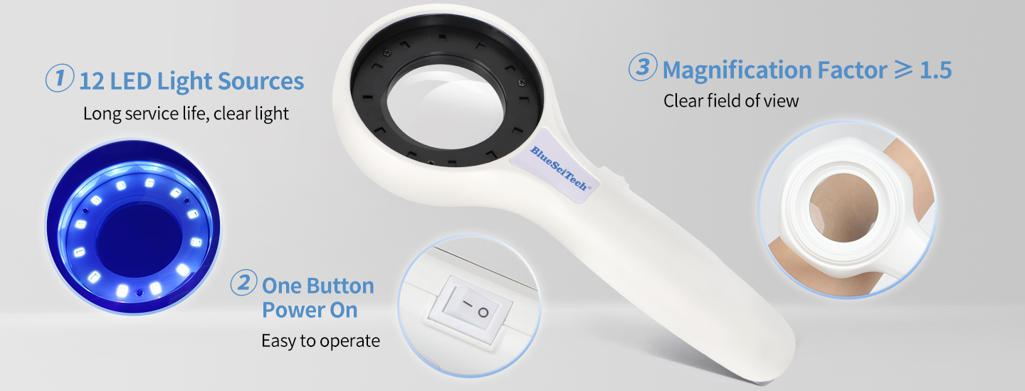 Veterinary Woods Lamp